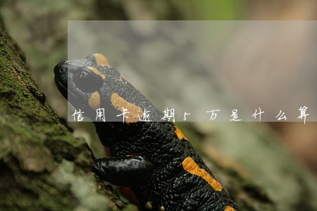 信用卡逾期5万是什么算的