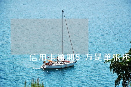 信用卡逾期5万是单张还是多张总和 信用卡逾期5万是单张还是多张总和