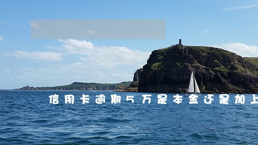 信用卡逾期5万是本金还是加上利息 信用卡逾期5万是本金还是加上利息