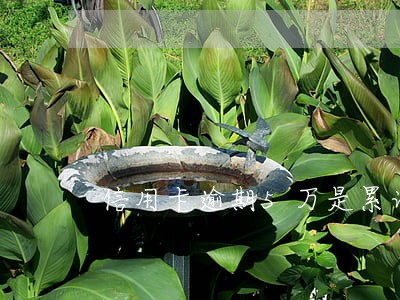 信用卡逾期5万是累计吗 信用卡逾期5万是累计吗
