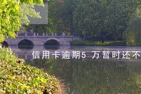信用卡逾期5万暂时还不上怎么解决 信用卡逾期5万暂时还不上怎么解决