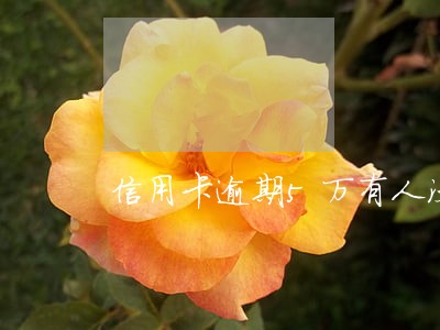 信用卡逾期5万有人没事 信用卡逾期5万有人没事