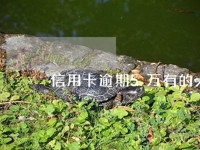 信用卡逾期5万有的人 信用卡逾期5万有的人