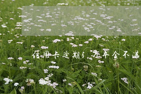 信用卡逾期5万本金不满怎么办 信用卡逾期5万本金不满怎么办