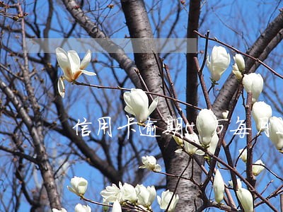 信用卡逾期5万每月还 信用卡逾期5万每月还