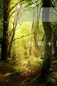信用卡逾期5万立案 信用卡逾期5万立案