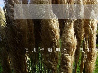 信用卡逾期5万算利息吗