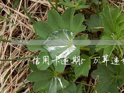 信用卡逾期5万算违约吗 信用卡逾期5万算违约吗