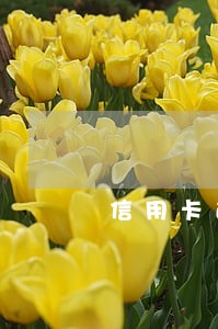 信用卡逾期5万能判缓期吗 信用卡逾期5万能判缓期吗