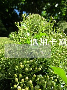 信用卡逾期5万还一点是否可以