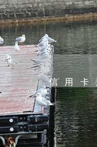 信用卡逾期5个月会上门 信用卡逾期5个月会上门