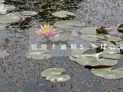 信用卡逾期5个月会解冻吗 信用卡逾期5个月会解冻吗
