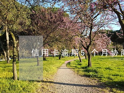 信用卡逾期5个月协商 信用卡逾期5个月协商