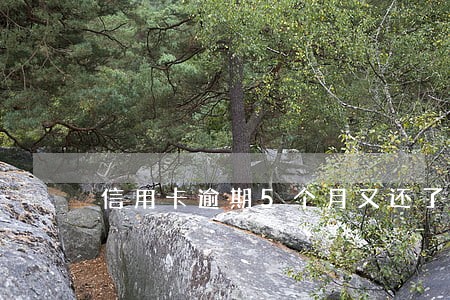 信用卡逾期5个月又还了点 信用卡逾期5个月又还了点
