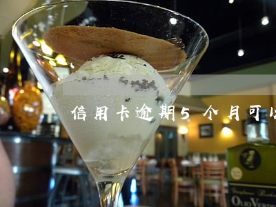 信用卡逾期5个月可以分期买车 信用卡逾期5个月可以分期买车