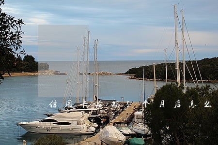 信用卡逾期5个月后怎么处理 信用卡逾期5个月后怎么处理