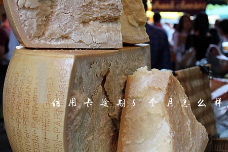 信用卡逾期5个月怎么样 信用卡逾期5个月怎么样