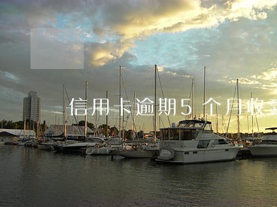 信用卡逾期5个月收到律师函 信用卡逾期5个月收到律师函