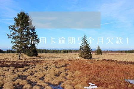 信用卡逾期5个月欠款12万 信用卡逾期5个月欠款12万