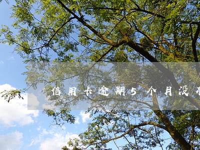 信用卡逾期5个月没有回