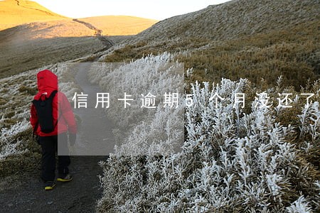 信用卡逾期5个月没还了 信用卡逾期5个月没还了