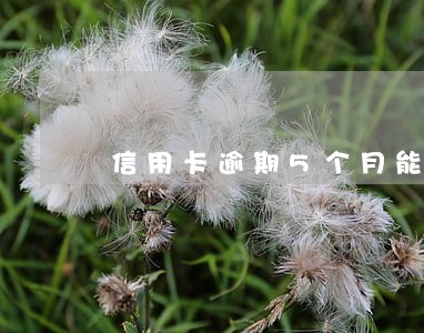 信用卡逾期5个月能解封不 信用卡逾期5个月能解封不