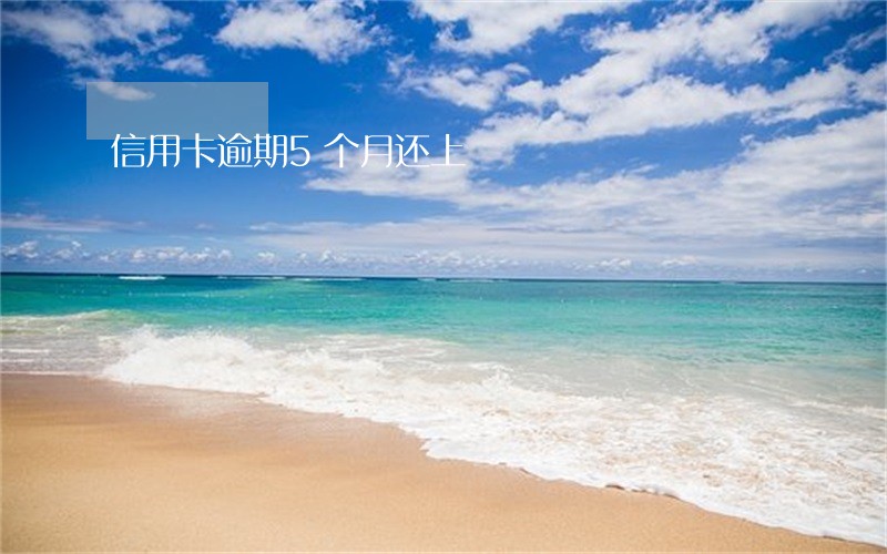 信用卡逾期5个月还上