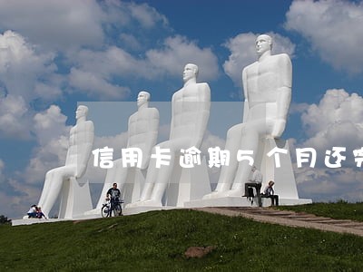 信用卡逾期5个月还完了