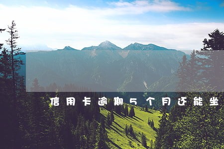信用卡逾期5个月还能坐飞机吗 信用卡逾期5个月还能坐飞机吗