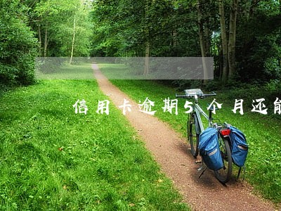 信用卡逾期5个月还能用吗 信用卡逾期5个月还能用吗