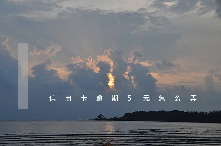 信用卡逾期5元怎么弄 信用卡逾期5元怎么弄