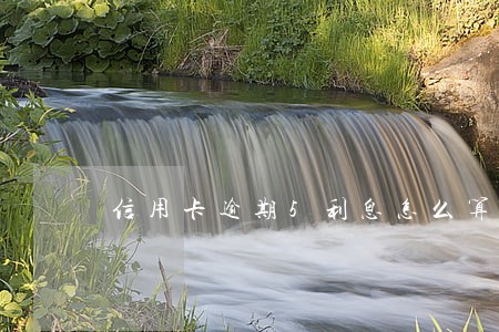 信用卡逾期5利息怎么算 信用卡逾期5利息怎么算