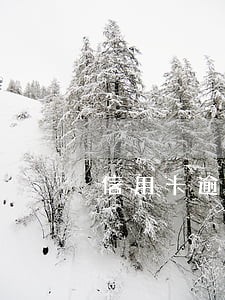 信用卡逾期5利息怎么算的 信用卡逾期5利息怎么算的