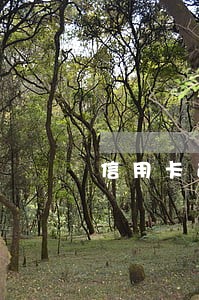信用卡逾期5千会上门 信用卡逾期5千会上门