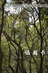 信用卡逾期5千会被起诉 信用卡逾期5千会被起诉