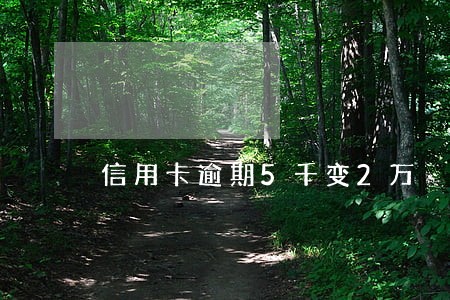 信用卡逾期5千变2万 信用卡逾期5千变2万