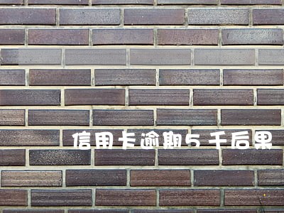 信用卡逾期5千后果 信用卡逾期5千后果