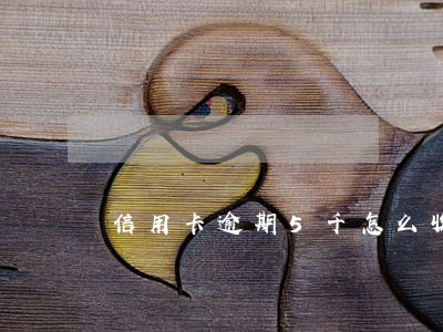 信用卡逾期5千怎么收费