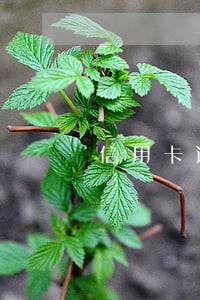 信用卡逾期5天6元会上征信吗 信用卡逾期5天6元会上征信吗