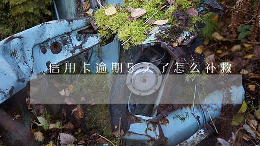 信用卡逾期5天了怎么补救 信用卡逾期5天了怎么补救