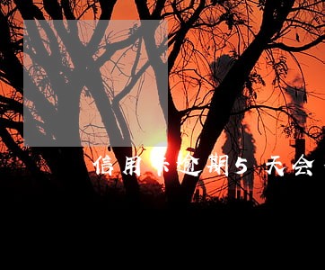 信用卡逾期5天会不会上征信 信用卡逾期5天会不会上征信