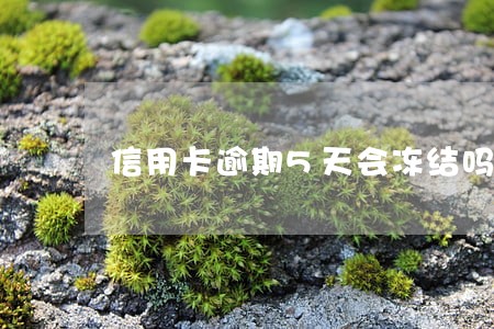 信用卡逾期5天会冻结吗 信用卡逾期5天会冻结吗