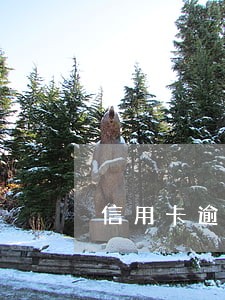 信用卡逾期5天会影响贷款么 信用卡逾期5天会影响贷款么