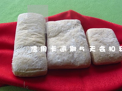 信用卡逾期5天会扣利息吗 信用卡逾期5天会扣利息吗