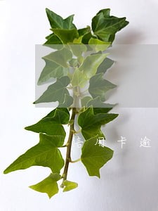 信用卡逾期5天会有影响吗
