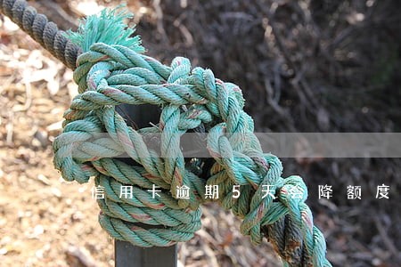 信用卡逾期5天会降额度吗