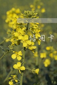 信用卡逾期5天全额还款