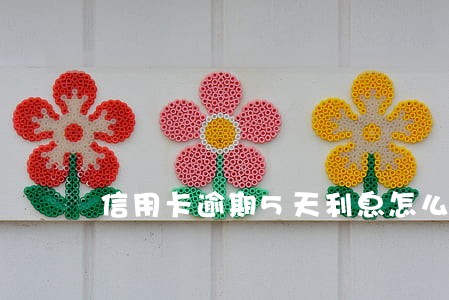 信用卡逾期5天利息怎么 信用卡逾期5天利息怎么