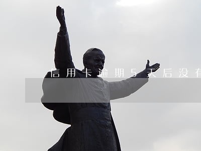 信用卡逾期5天后没有额度 信用卡逾期5天后没有额度