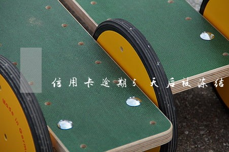 信用卡逾期5天后被冻结